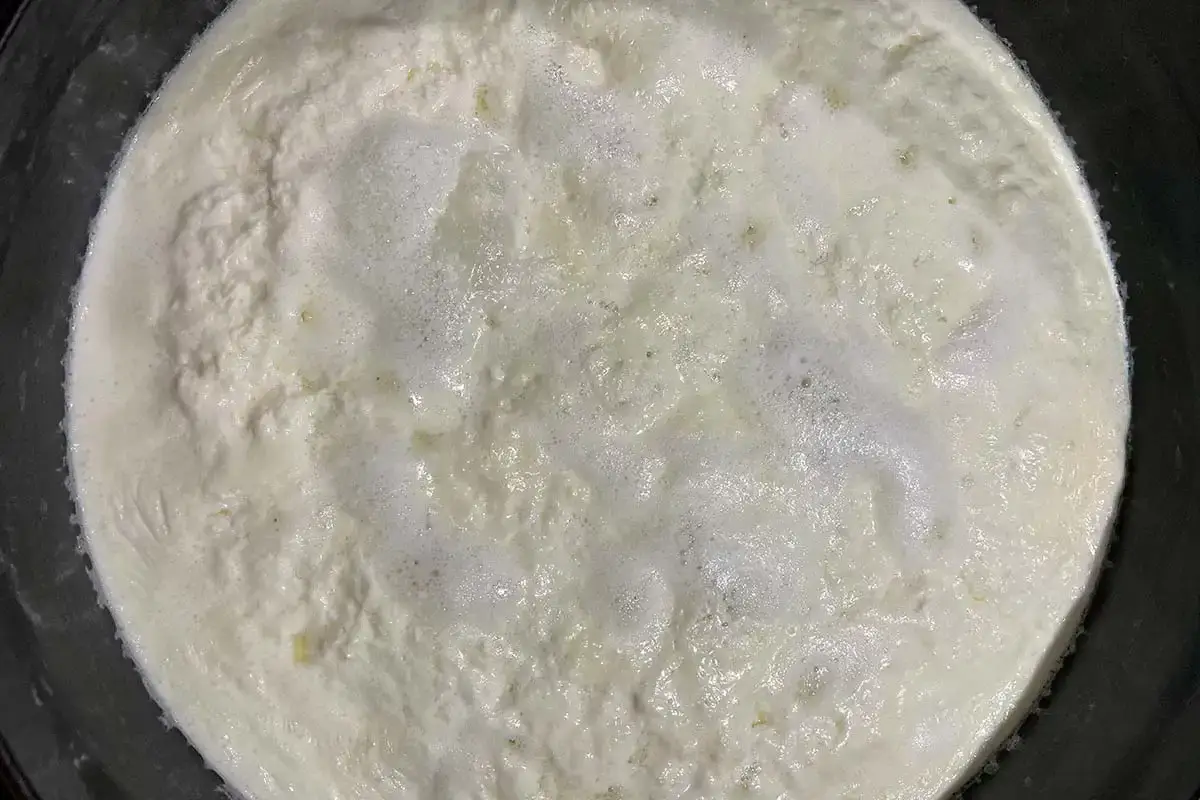 Bubbling Ricotta ove Heat