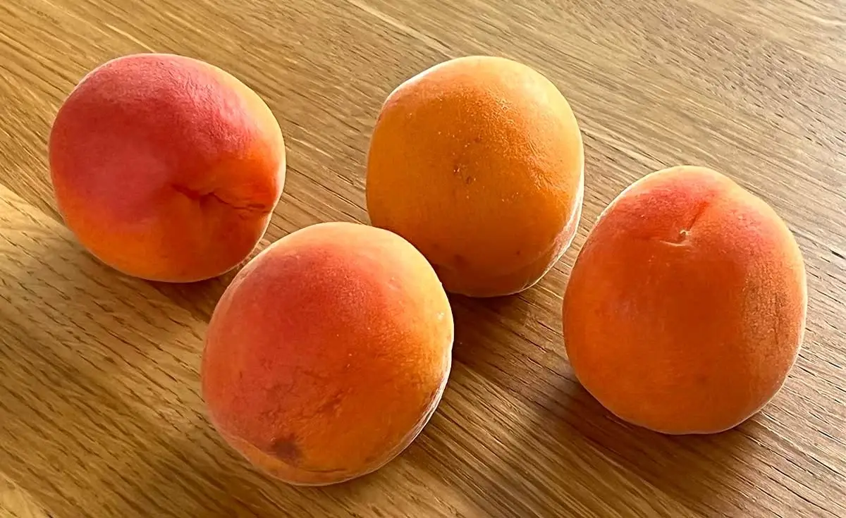 Fresh Apricots